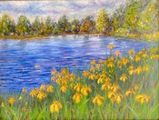 Summer at green lake